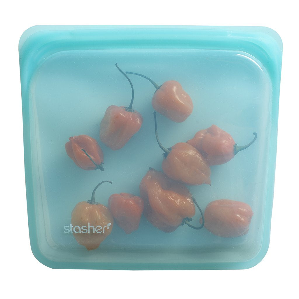 STASHER BAG (STASHER)