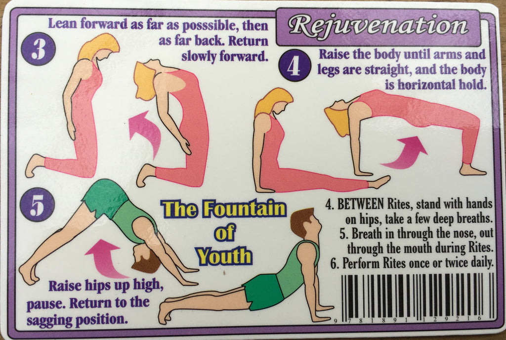 Rejuvenation Wallet Chart