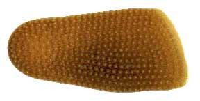 Maseur Innersoles - Mens & Women