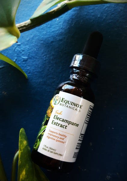 Elecampane Fresh Root Extract 1oz - Equinox Botanicals