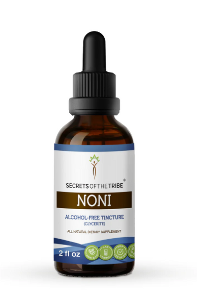 Noni Fruit 2oz Alcohol Free Herbal Extract - Secrets of the Tribe