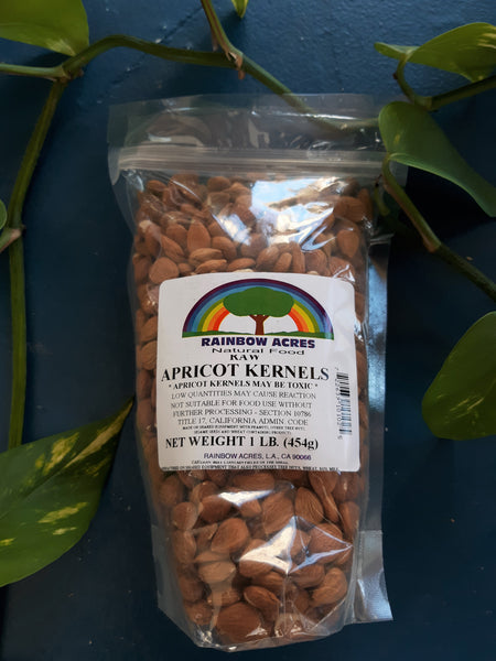 Raw Apricot Kernels (Rainbow Acres) 1 LB