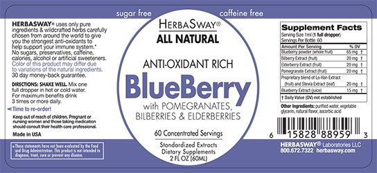Antioxidant Rich Blueberry Concentrate 2oz - with Pomegranate, Bilberries & Elderberries - HerbaSway