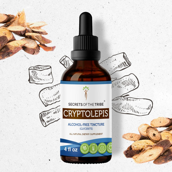 Cryptolepis 2oz Alcohol Free Tincture - Secrets of the Tribe