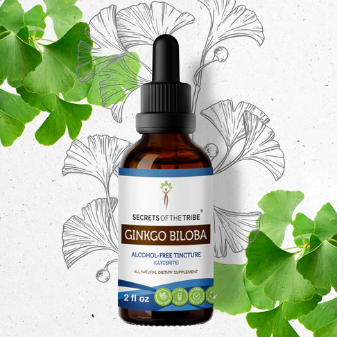 Ginkgo Biloba 2oz Alcohol Free Herbal Extract - Secrets of the Tribe