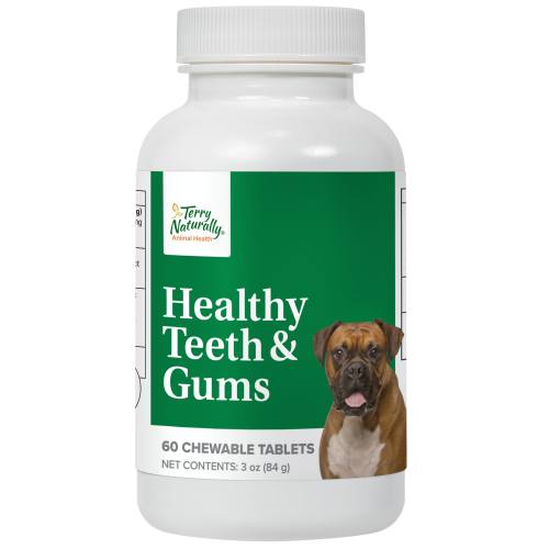 Healthy Teeth & Gums for Dogs 60 Chewable tablets - Terry Naturally