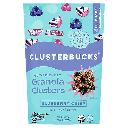 Gut Friendly Buckwheat Granola 6oz - Grain Free Blueberry Crisp with Acai Berry - Lil Bucks