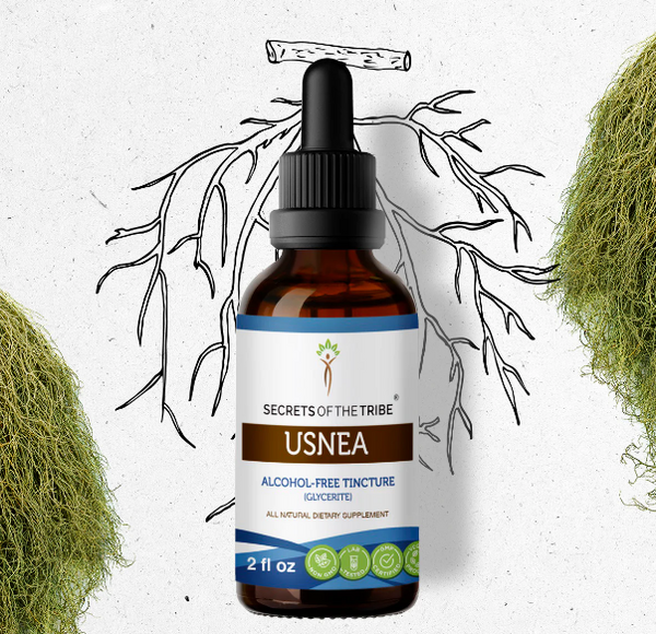 Usnea 2oz Alcohol Free Herbal Extract - Secrets of the Tribe