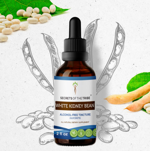 White Kidney Bean 2oz Alcohol Free Herbal Extract - Secretes of the Tribe