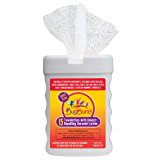Insect Repellent Towelettes (Bugband)