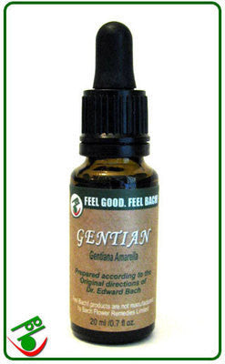 Gentian Bach Flower Remedy (Bach)
