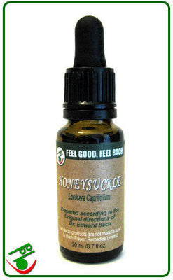 Honeysuckle Bach Flower Remedy (Bach)