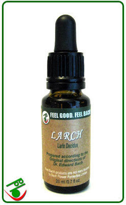 Larch Bach Flower Remedy (Bach)