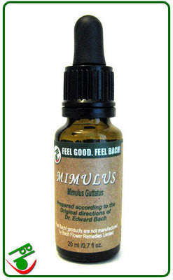 Mimulus Bach Flower Remedy (Bach)