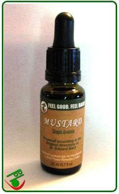 Mustard Bach Flower Remedy (Bach)