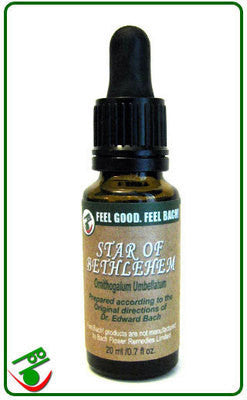 Star Of Bethlehem Bach Flower Remedy (Bach)