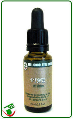 Vine Bach Flower Remedy (Bach)