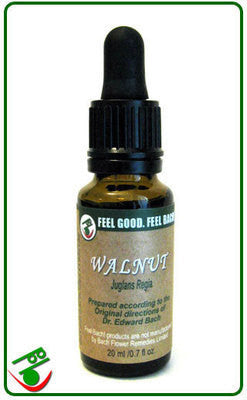 Walnut Bach Flower Remedy (Bach)