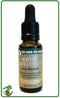 White Chestnut Bach Flower Remedy (Bach)
