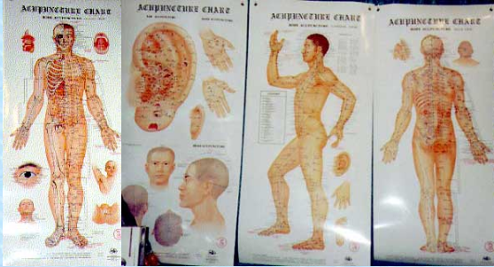 Acupuncture Wall Chart set of 4 Non Laminated
