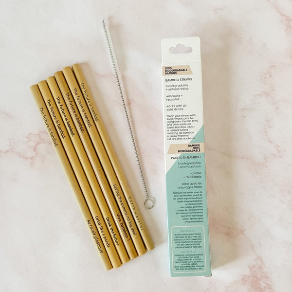 Bamboo Drinking Straw - Set of 6 Straws with cleaning brush - The Future is Bamboo