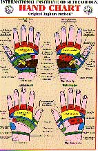 Hand & Foot Reflexology Chart Set 8.5 X 11 (Ingham)