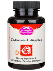 Codonopsis & Zizyphus Combination - 500mg 100 Vegetarian Capsules - Dragon Herbs