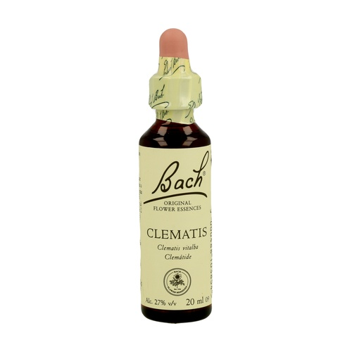 Clematis-Bach-Flower-Remedy-(Bach)