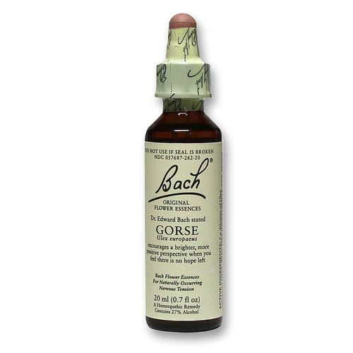GORSE-BACH-FLOWER-REMEDY-(BACH)-20ML