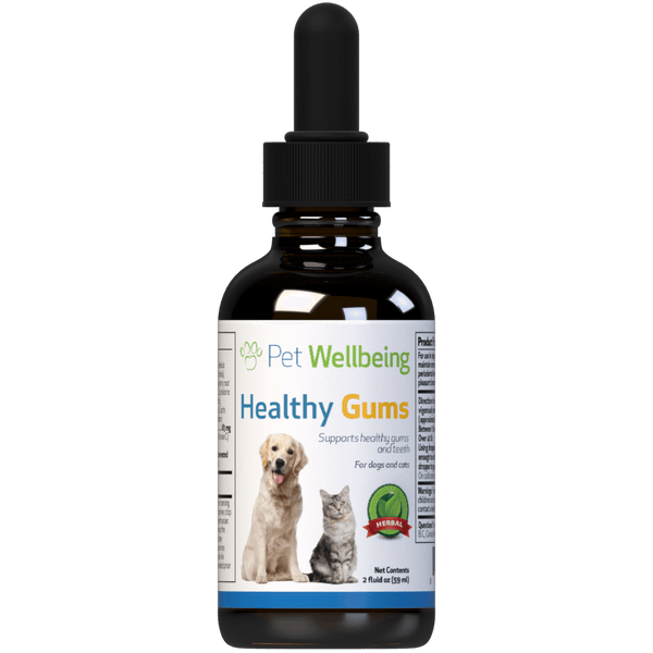 Healthy Gums for Canine Periodontal Health 2 oz - Pet Wellbeing