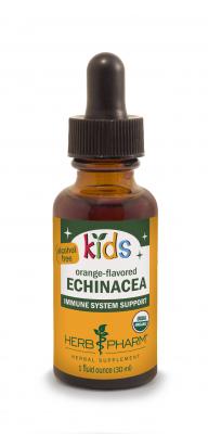 Kids Echinacea Glycerite