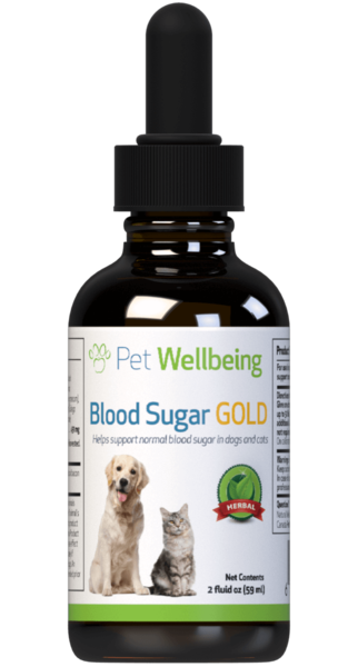 Kidney Support GOLD 2 oz - for Cats and Small-Medium Dogs - Pet Wellbeing