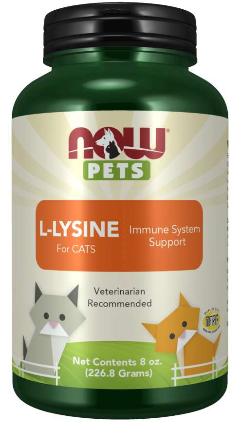 L-Lysine for Cats - 8 oz Powder 276 mg per serving - Now Real Foods