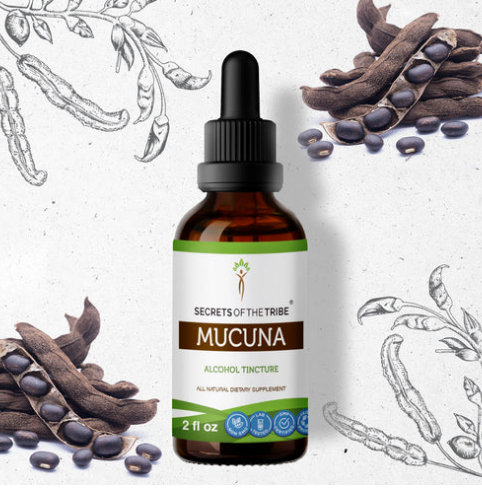 Mucuna 2oz Herbal Extract - Alcohol Tincture - Secrets of the Tribe