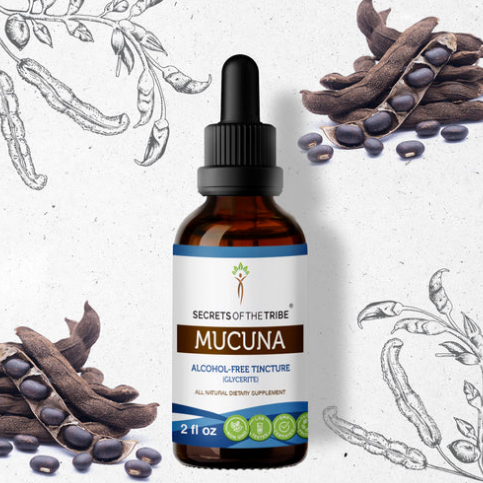 Mucuna 2oz Herbal Extract - Alcohol Free Tincture - Secrets of the Tribe
