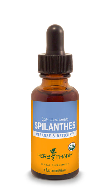 SPILANTHES - HERB EXTRACT - HERB PHARM