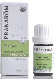TEA TREE OIL ORGANIC ESSENTIAL OIL (PRANAROM)