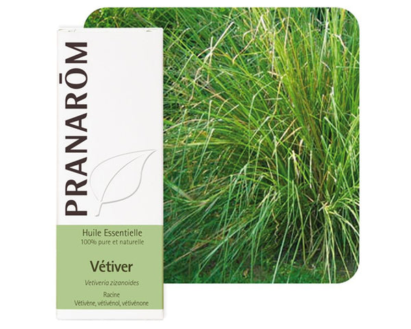 VETIVER ORGANIC ESSENTIAL OIL (PRANAROM)