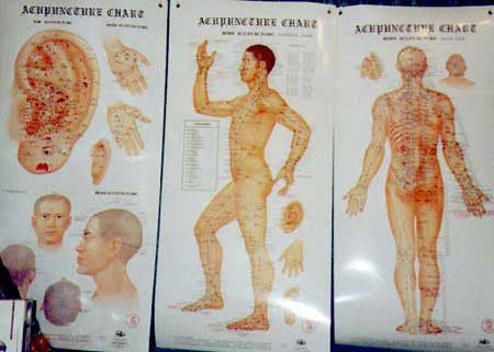 Acupressure Ear Chart (Auricular Points)