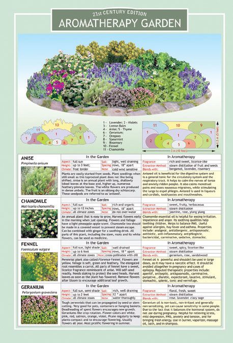 Mini Chart - Aromatherapy Garden