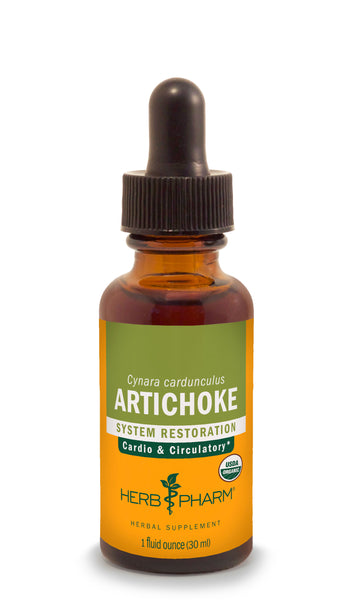 Artichoke (Cynara cardunculus) 1oz Tincture - Herb Pharm