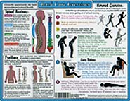 Back Exercises Chart