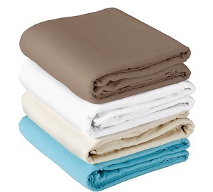 Basics Flannel Sheet Set (Earthlite)