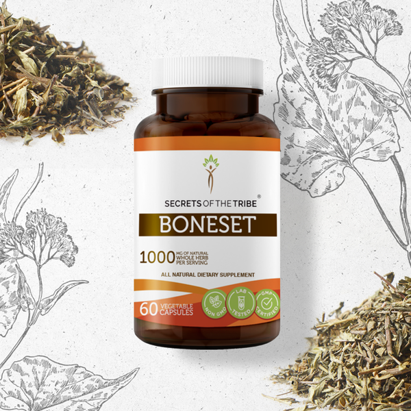 Boneset 1000mg - 60 Vegetarian Capsules - Secrets of the Tribe