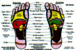 Ingham Hand Foot Reflexology Wallet Card (Color)