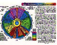 Iridology Chart  (Inner Light)