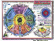 Iris Diagnosis Chart