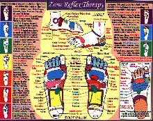Zone Reflexology Hand Foot Chart