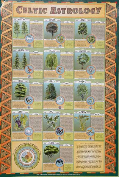 Mini Chart - Celtic Astrology