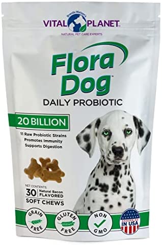 FLORA DOG - Daily Probiotic 20 Billion Soft Chews Natural Bacon Flavor - VITAL PLANET